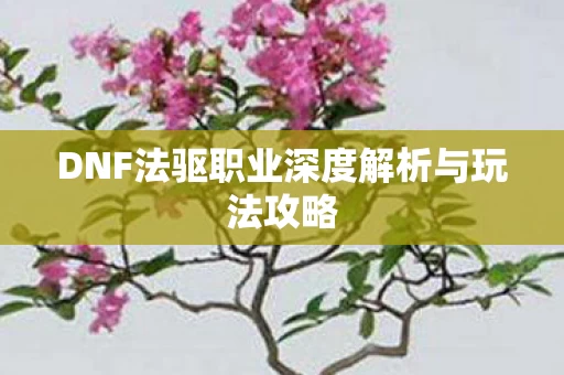 DNF法驱职业深度解析与玩法攻略图片
