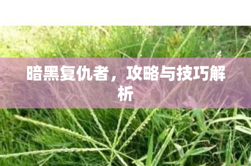 攻略与技巧解析图片
