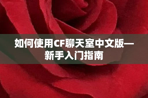如何使用CF聊天室中文版图片