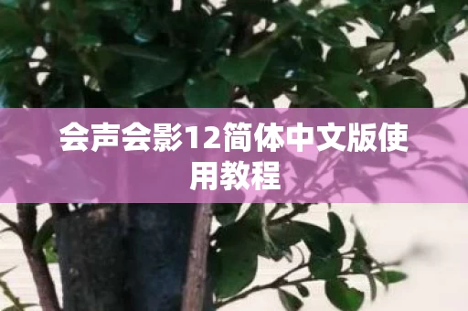 会声会影12简体中文版使用教程图片