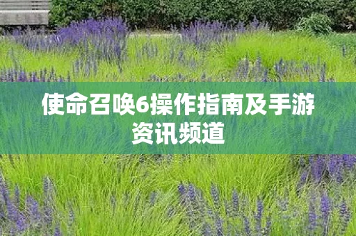 使命召唤6操作指南及手游资讯频道图片