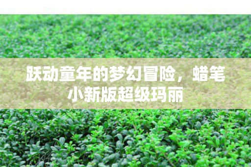 跃动童年的梦幻冒险图片