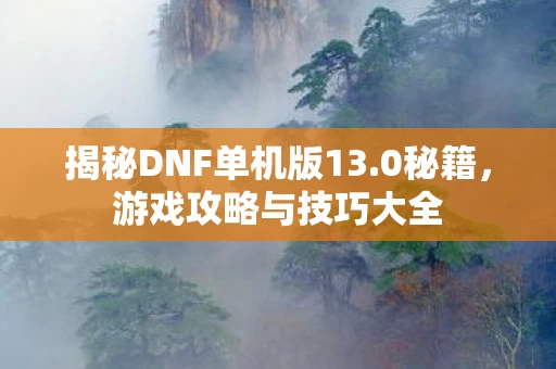 揭秘DNF单机版13图片