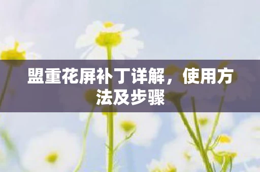 盟重花屏补丁详解图片