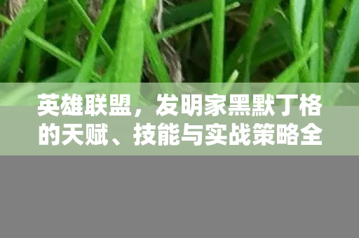 发明家黑默丁格的天赋图片