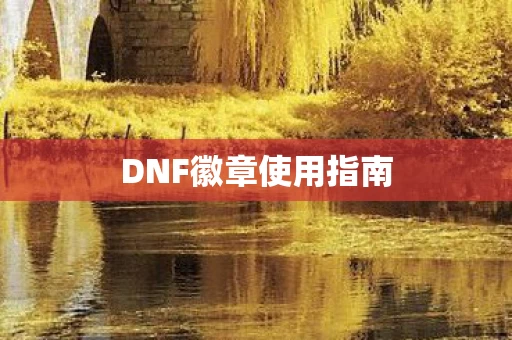 DNF徽章使用指南图片