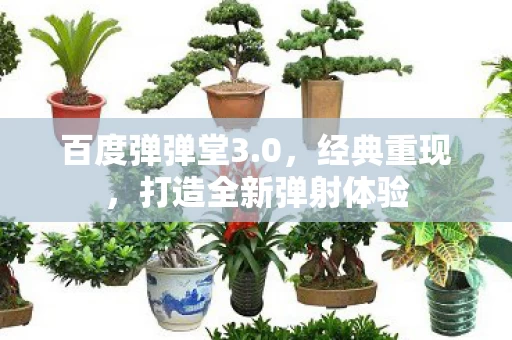 打造全新弹射体验图片