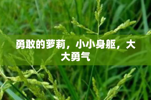 勇敢的萝莉图片