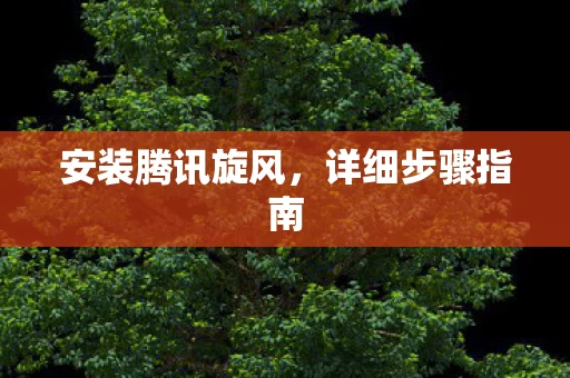安装腾讯旋风图片