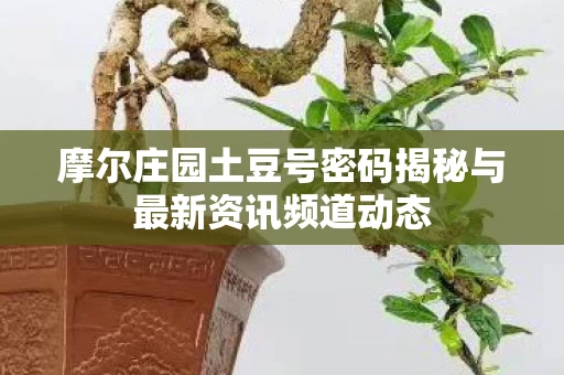 摩尔庄园土豆号密码揭秘与最新资讯频道动态图片