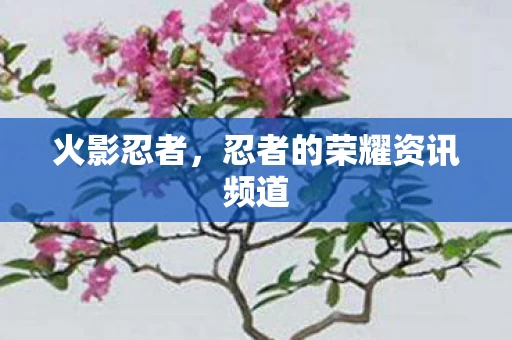 忍者的荣耀资讯频道图片