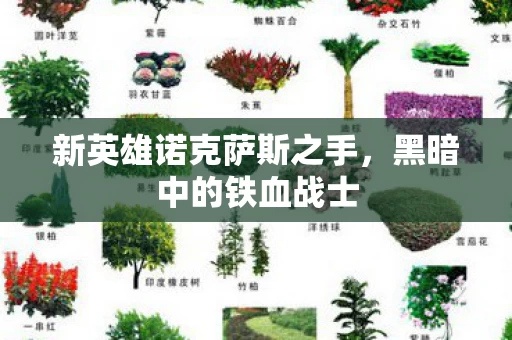 新英雄诺克萨斯之手图片