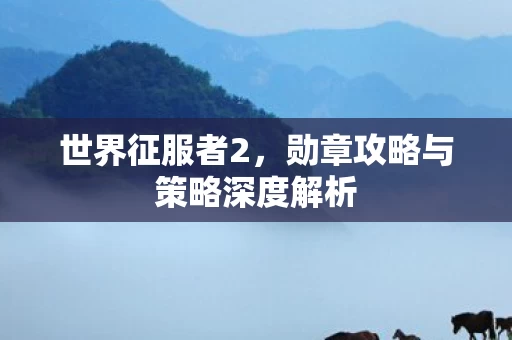 勋章攻略与策略深度解析图片