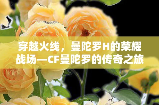 CF曼陀罗的传奇之旅图片