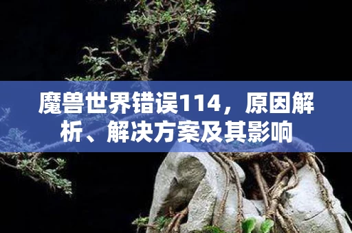 魔兽世界错误114图片