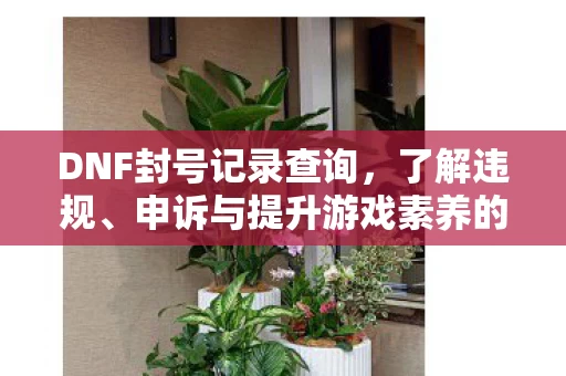 申诉与提升游戏素养的指南图片