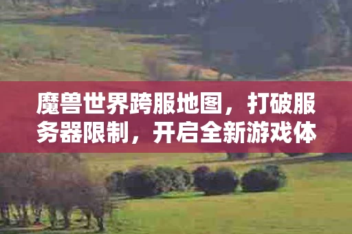 魔兽世界跨服地图图片