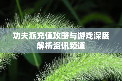 功夫派充值攻略与游戏深度解析资讯频道图片