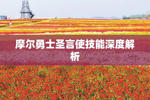 摩尔勇士圣言使技能深度解析图片