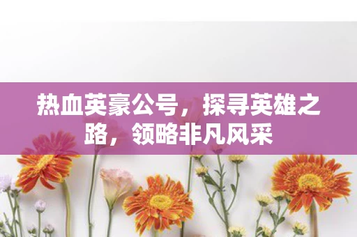 热血英豪公号图片