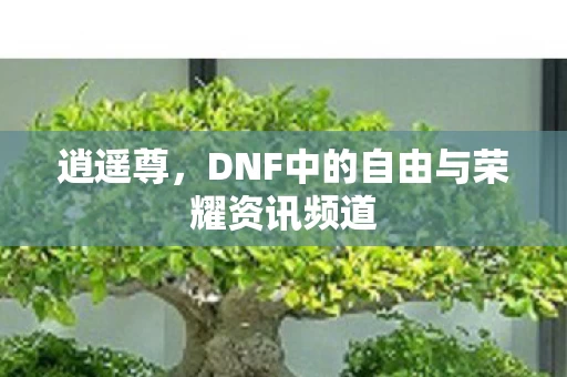 DNF中的自由与荣耀资讯频道图片