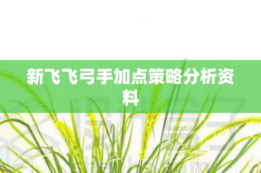 新飞飞弓手加点策略分析资料图片