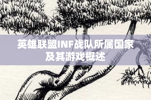 英雄联盟INF战队所属国家及其游戏概述图片