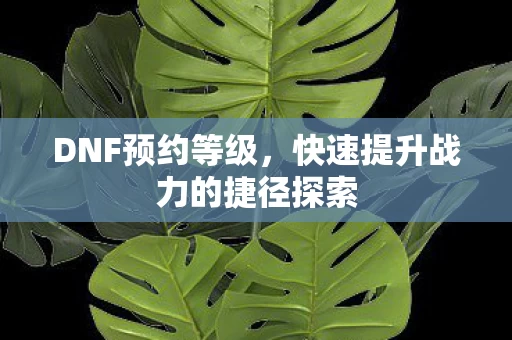 快速提升战力的捷径探索图片