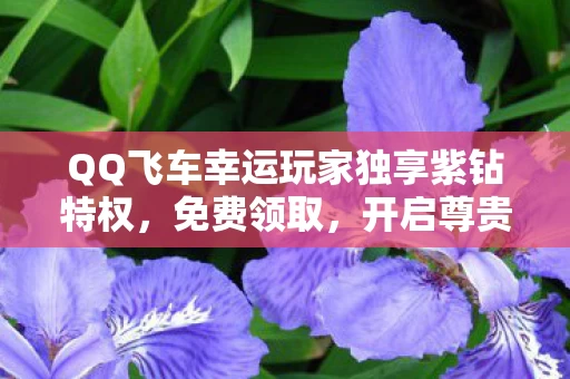 QQ飞车幸运玩家独享紫钻特权图片