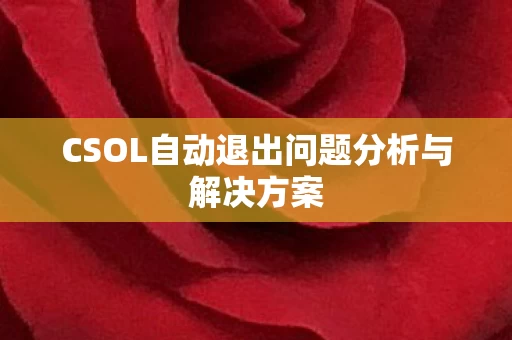 CSOL自动退出问题分析与解决方案图片