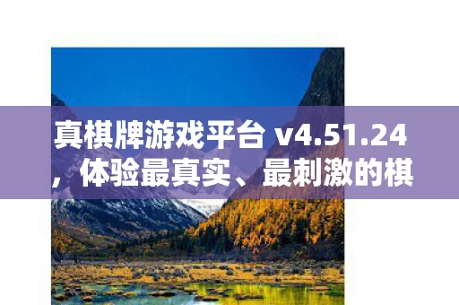 真棋牌游戏平台 v4图片
