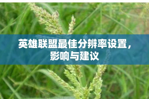 英雄联盟最佳分辨率设置图片