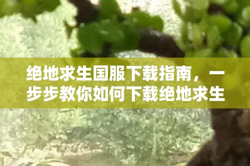 一步步教你如何下载绝地求生国服资讯频道图片