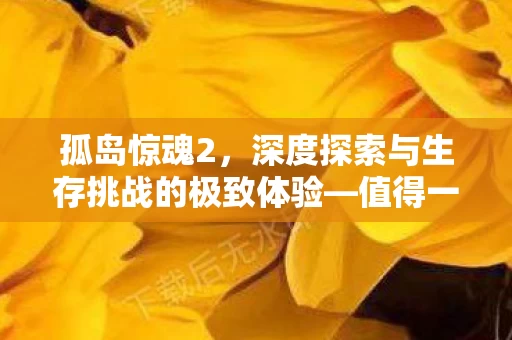 深度探索与生存挑战的极致体验图片