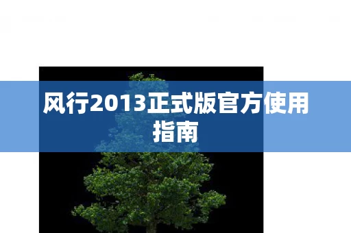 风行2013正式版官方使用指南图片
