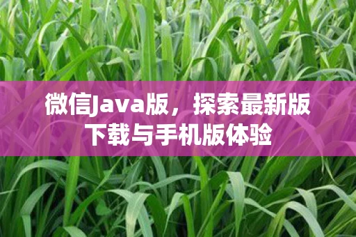 探索最新版下载与手机版体验图片