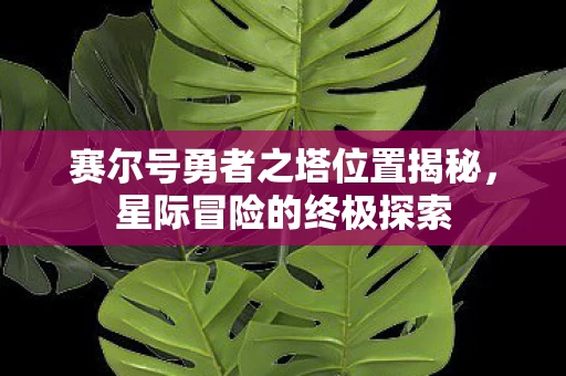 赛尔号勇者之塔位置揭秘图片