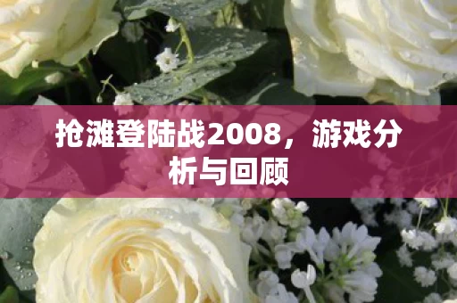 抢滩登陆战2008图片