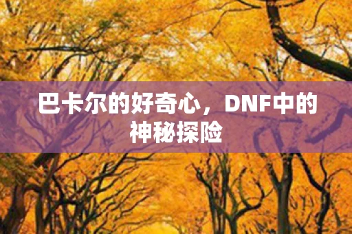 DNF中的神秘探险图片