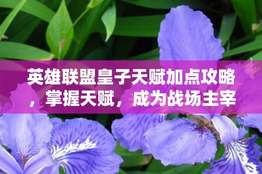 英雄联盟皇子天赋加点攻略图片