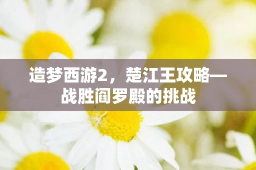 战胜阎罗殿的挑战图片
