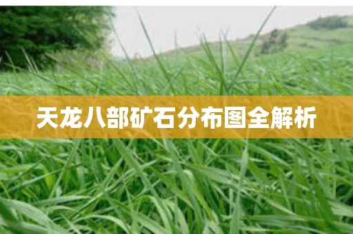 天龙八部矿石分布图全解析图片