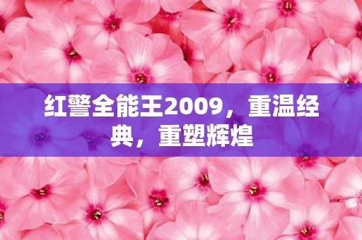 红警全能王2009图片