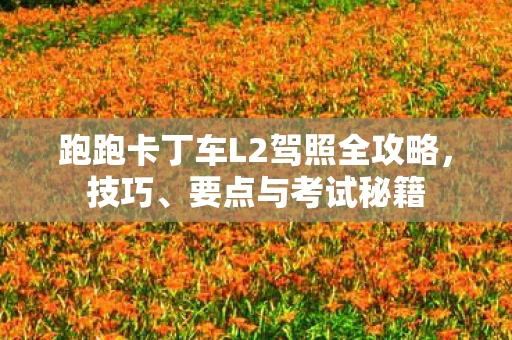 跑跑卡丁车L2驾照全攻略图片