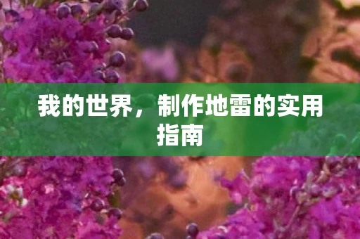 制作地雷的实用指南图片