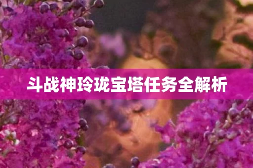斗战神玲珑宝塔任务全解析图片