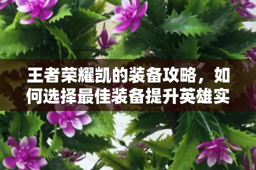如何选择最佳装备提升英雄实力图片