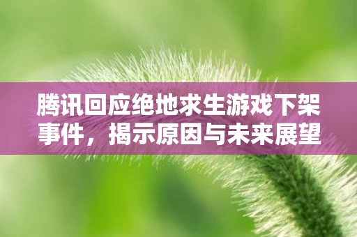 腾讯回应绝地求生游戏下架事件图片