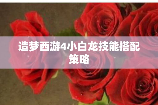 造梦西游4小白龙技能搭配策略图片