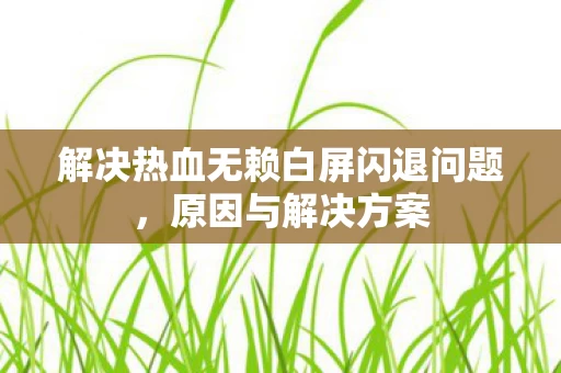 解决热血无赖白屏闪退问题图片